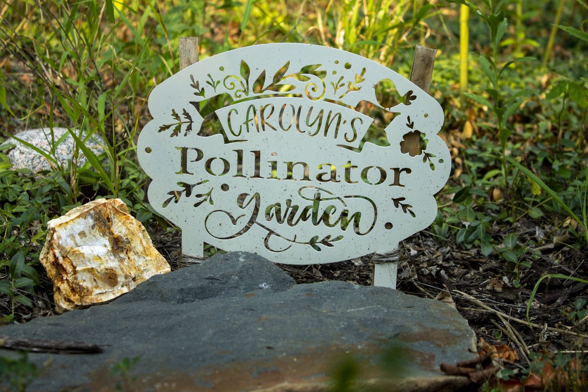 Columbia resident Kellie Campbell noticed strange, green stalks growing in the front yard of the home she just bought. These milkweed plants prompted Campbell to uphold the garden the previous owner left behind. 

Story | Tayler Gilmore
📸 | Emma Rae

themaneater.com/if-plant-stalk…