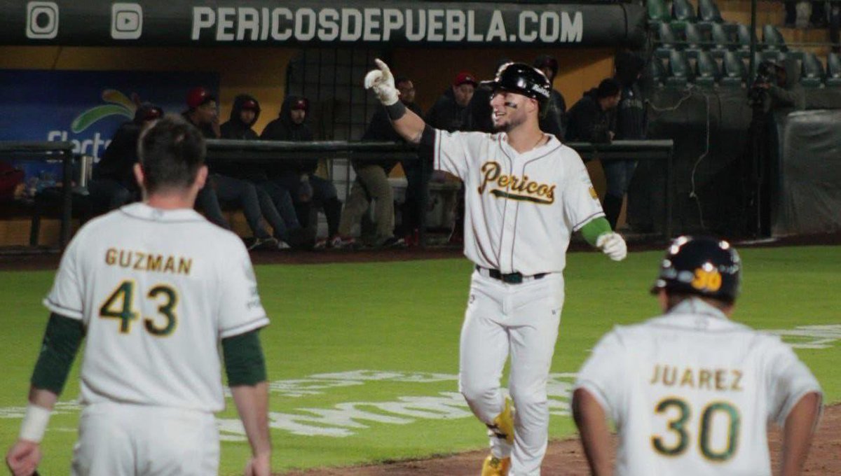 Dr. Iotov 🚌 tweet media