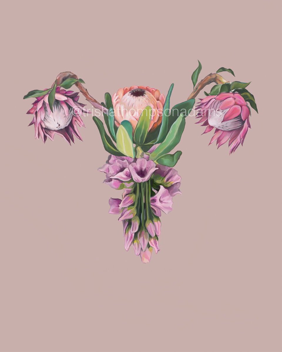 #WorldMenopauseDay2022 The more we talk about womens health the better. Periods, vaginas, uteruses, bleeding, menopause, hormonal issues, hot flushes, sweats, menstrual pain, migraines, the list is long! Lets end the stigma &amp; create more awareness of what support women need 💖🙌