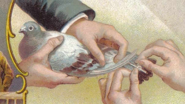 ¿Puede una paloma mensajera convertirse en un medio de masas?

No solo puede, durante un breve periodo de tiempo, fue clave para salvar a una ciudad de la incomunicación. 

[Te lo cuento en este breve hilo]