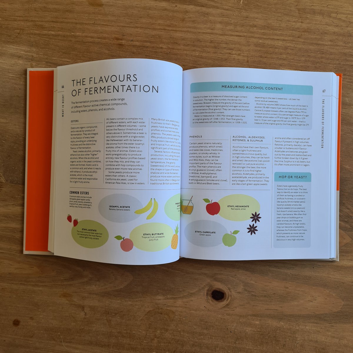 markdredge's tweet image. My new book BEER: A TASTING COURSE is released in two weeks! It's all about the many delicious flavours of beer and how to identify, understand and describe those flavours. Available for pre-order here: beerdredge.com/product-page/b…