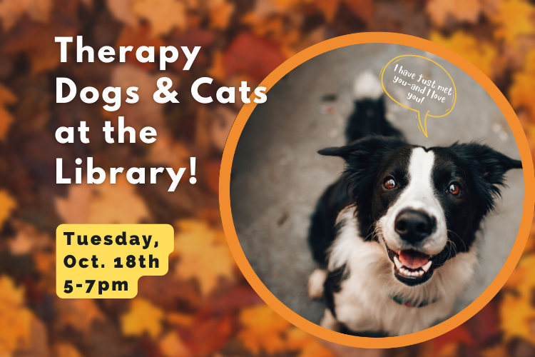 StKatesLibrary's tweet image. Don’t fur-get to stop by the library tonight between 5-7pm! We have some friendly therapy dogs and cats who want to make sure you have a paw-sitive mid-term week :) #mystkates
