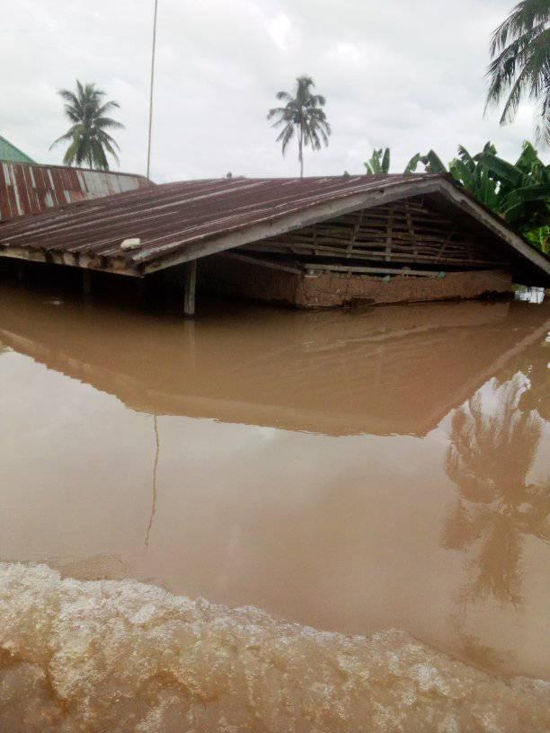 SeyiOjelabi's tweet photo. How To Combat Flood In Nigeria !

To combat #FloodIssue in Nigeria to a good reasonable point without loss of lives and little property damage as a #StrategicTechnologist, we need to go back to it root source.

#CausesOfFlood
Situations like deforestation, climate change..... https://t.co/RqyTwEIfeI