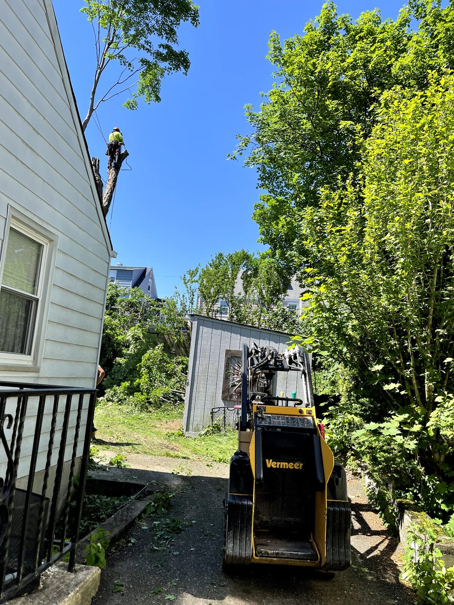 PadillaInc's tweet photo. Quality, service and commitment is what commits us to our customers contact us to get a good professional service
Call us at: 914-294-9273 ☎️
or make an appointment on our website https://t.co/WbbuAW0zLT 🌐 https://t.co/5cHPB5c9WN