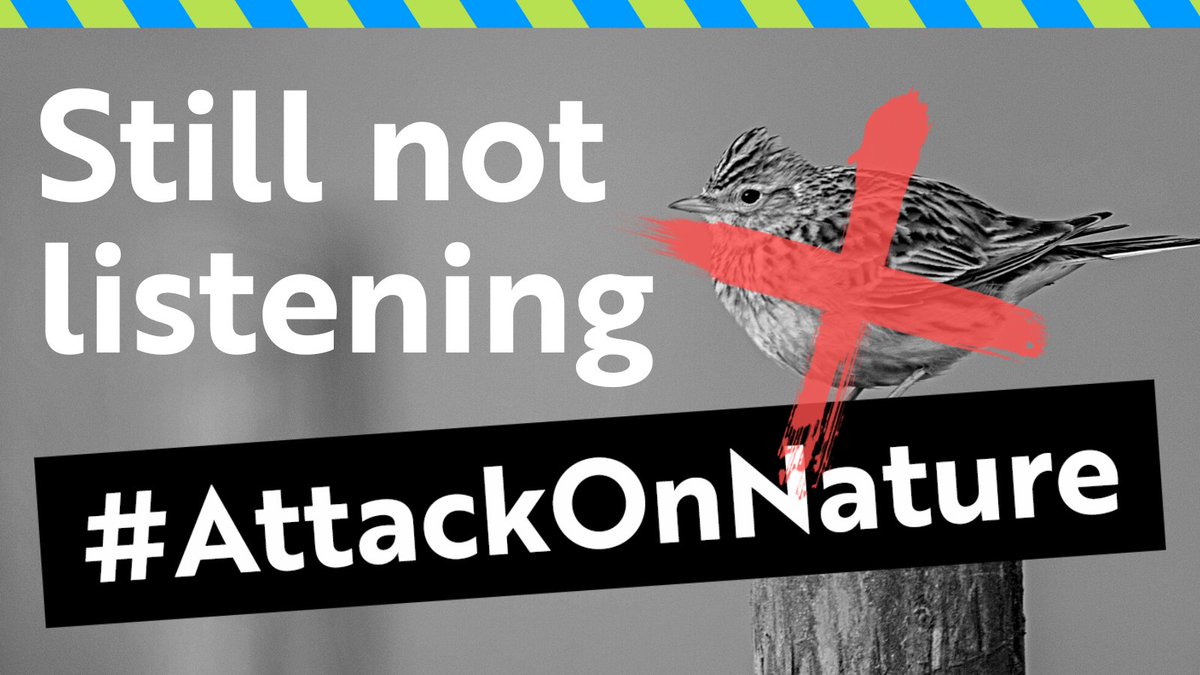 🌍⚠ URGENT: #AttackOnNature. Despite all the recent U-turns the new UK Government is STILL not listening. But we will not stand by and let wildlife be trashed. You’ve been brilliant in your support already🙏but we now need to step up a gear. This is how … 🧵
