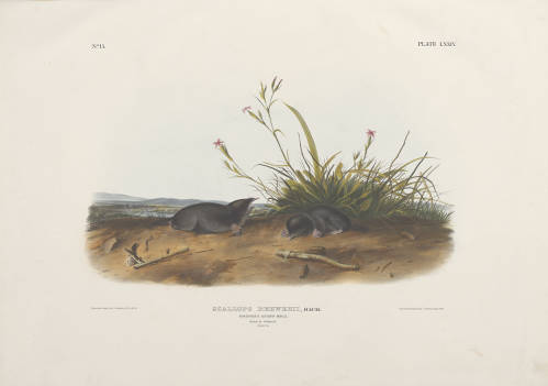 Ohio Digital Network tweet media