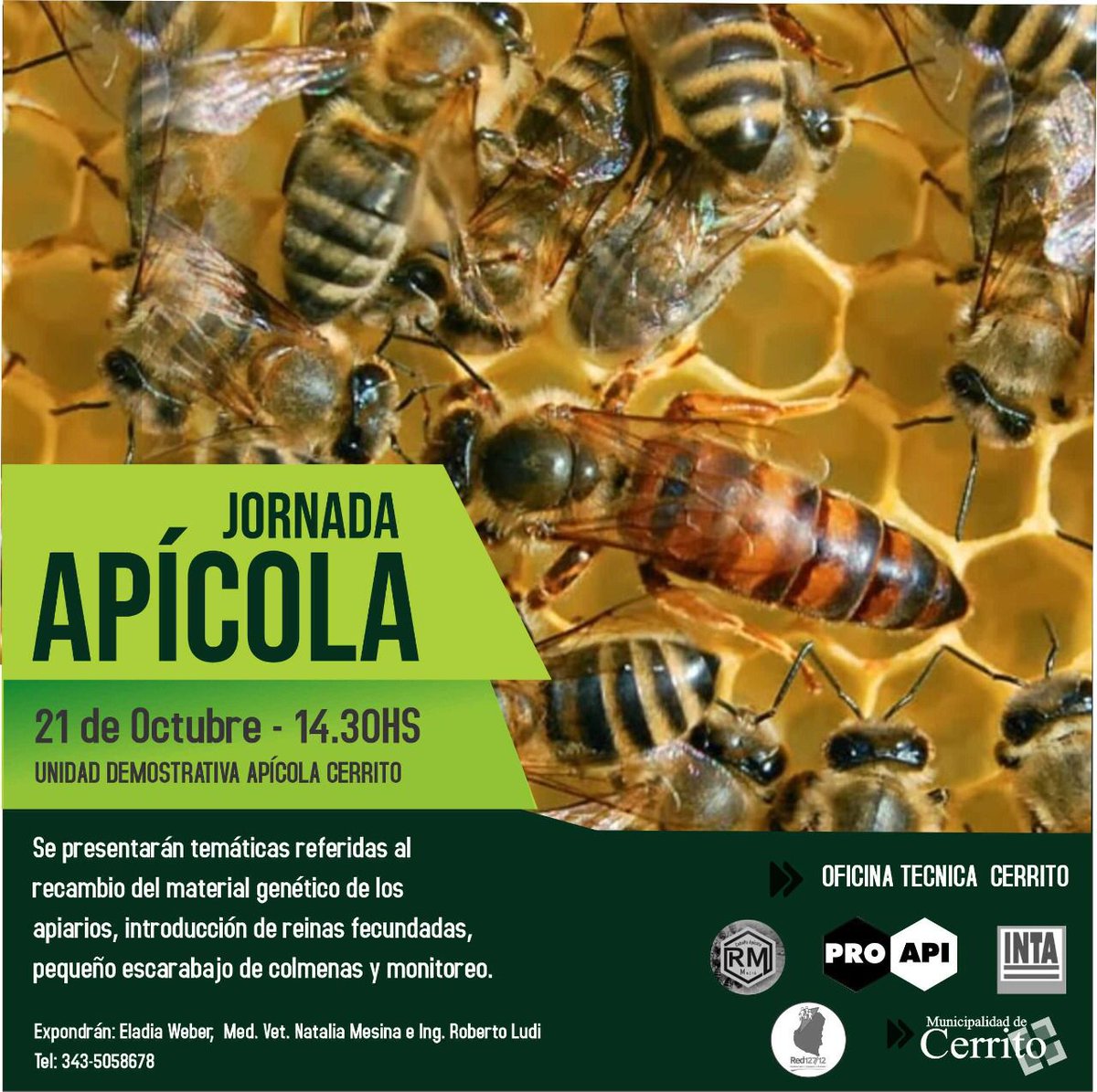 INTAProapi's tweet photo. #Noticias: Desde #INTAProapi los invitamos a participar de la Jornada Apícola el próximo viernes 21/10 a las 14:30 h en la Unidad Apícola Cerrito de Entre Ríos.
📌https://t.co/fPbw5FDNGq https://t.co/yNS2a3k3rx