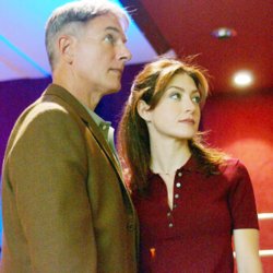 SandradeAguiar's tweet photo. Quel bonheur de revoir les débuts de #NCIS les premiers épisodes avec Kate ma bichette c'était la base ❤️❤️ @sashaalexander
#Kibbs c'était mes chouchous 😍 https://t.co/o3Vd7WZyZ9