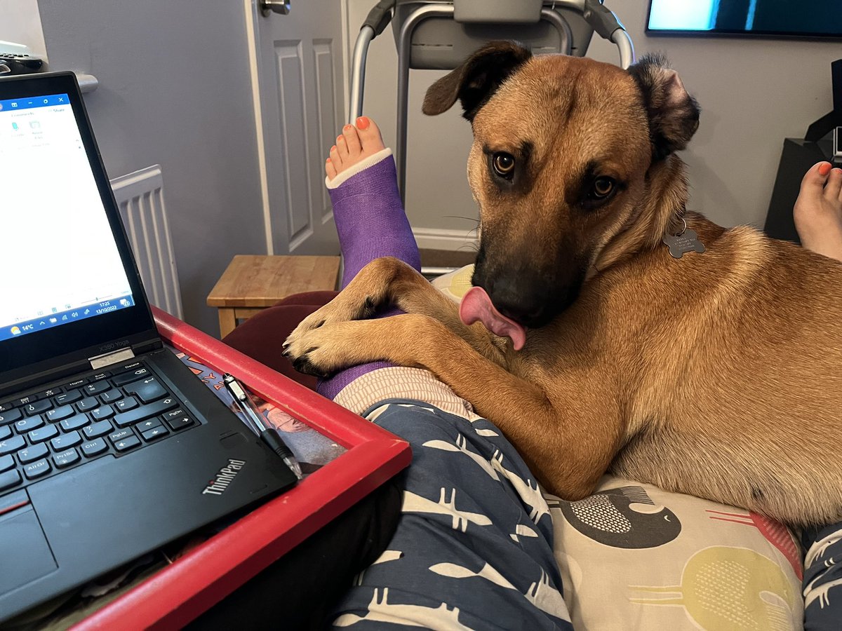 lou_870's tweet photo. @OscarRomeo1268 @PTCentres @burrellce @TherapyDogsUK Thank you 😊 Working from home being looked after by my mischief who caused the injury 🙈🥰 https://t.co/zCYYiRsVnL