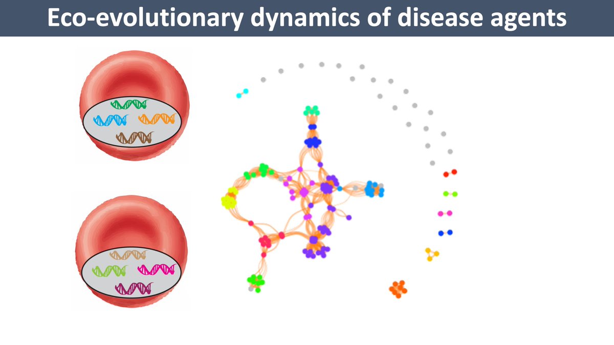 Purdue Ecology & Evolutionary Biology tweet media