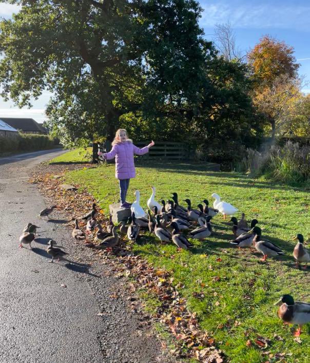 JenGoodall78's tweet photo. School holidays mean fun days with this wee superstar!! #family #Memories #BlendedFamilies #StepGran ⭐️🐱🦆❤️ @Christopher6166 https://t.co/BmdRO43YCG