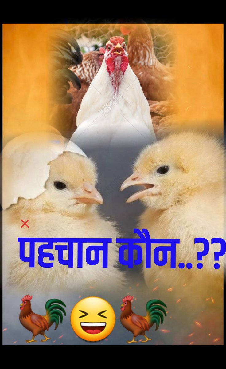 Ravindra tiwari tweet media