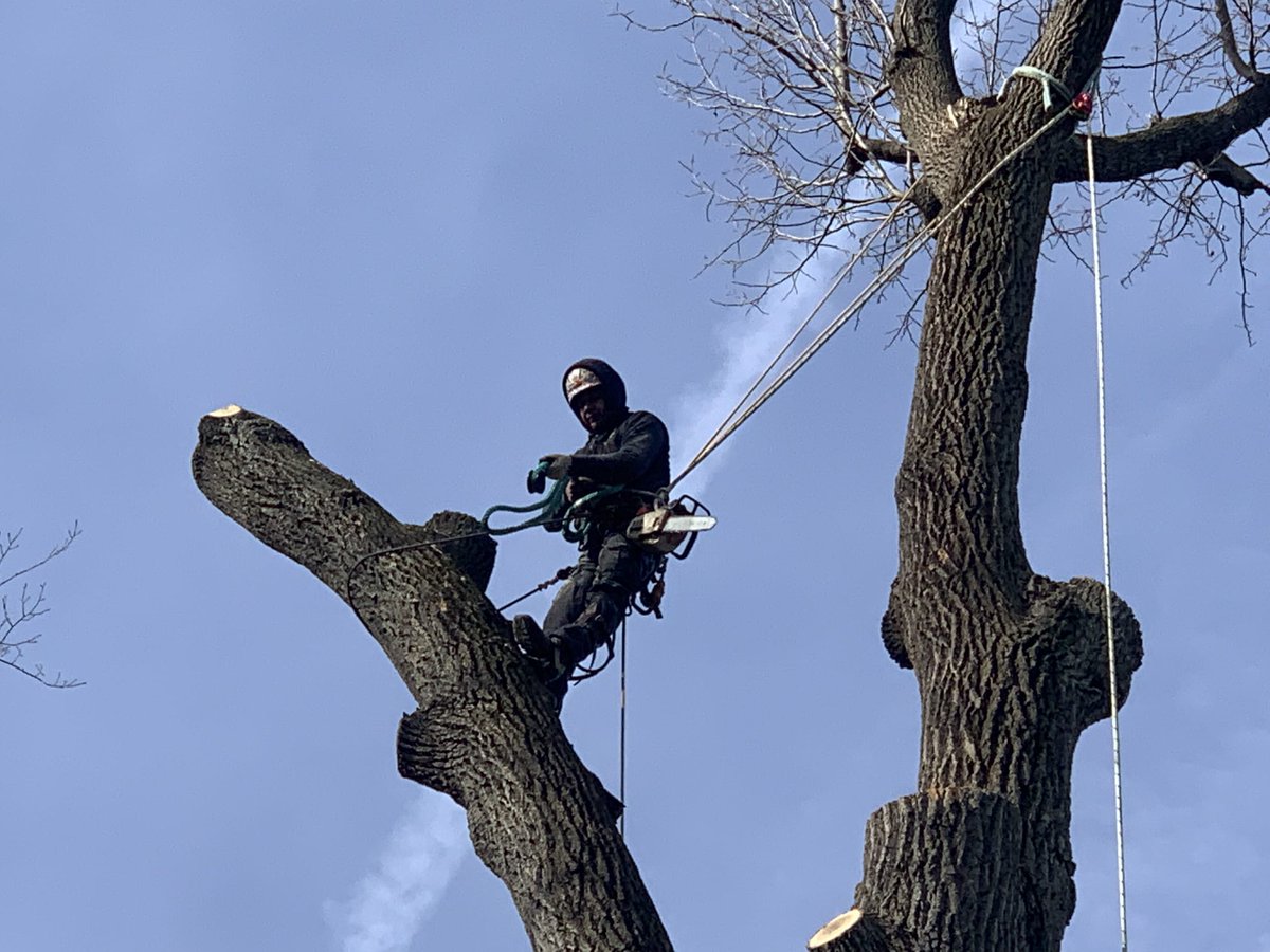 PadillaInc's tweet photo. Our experience guarantees you an excellent job
Call us at: 914-294-9273 ☎️
or make an appointment on our website https://t.co/WbbuAW0zLT 🌐 https://t.co/LPmxDflhCI