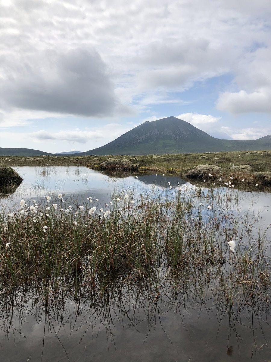 Only one week to go until we welcome the #peatland community to @ERI_UHI and @TheFlowCountry for the Flow Country Research Conference. We look forward to seeing all participants in Thurso catching up and hearing about your research!