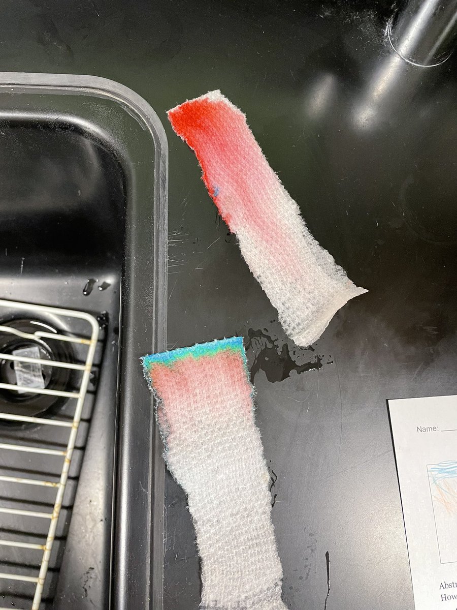 MsWestEDU's tweet photo. 5th period chromatography results #RCMMS #Science #6thGrade #TeamOtters https://t.co/HhWuCtuEr5