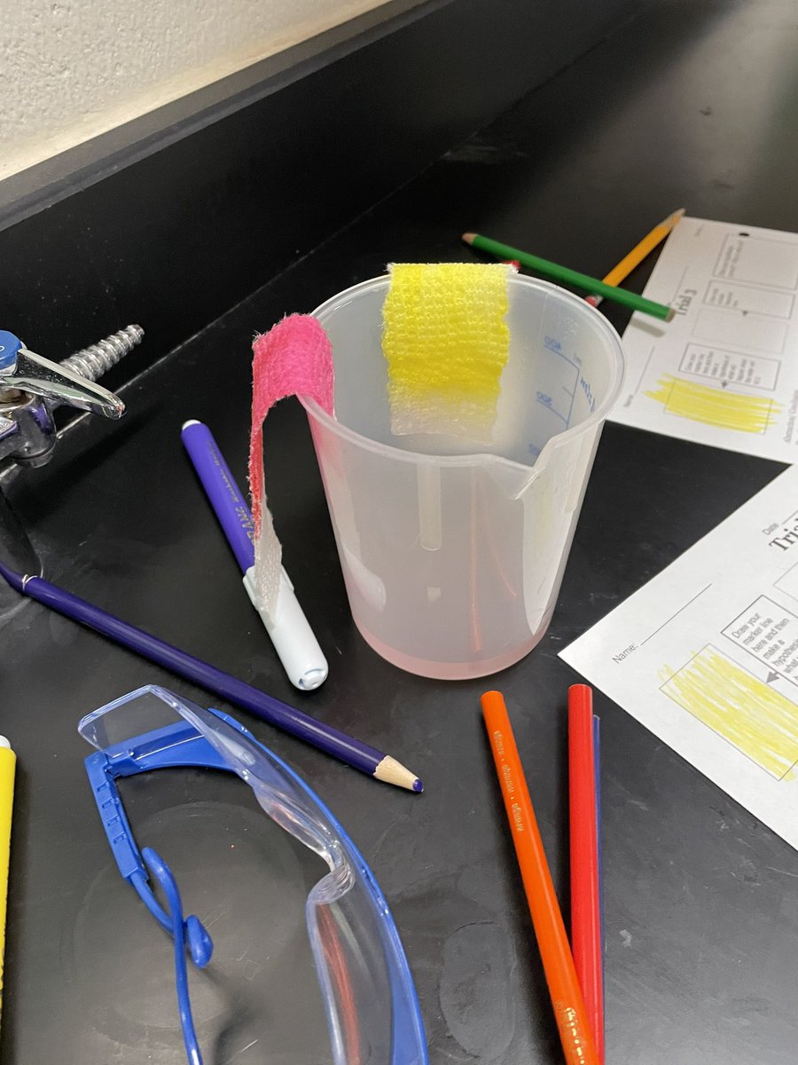 MsWestEDU's tweet photo. 5th period chromatography results #RCMMS #Science #6thGrade #TeamOtters https://t.co/HhWuCtuEr5