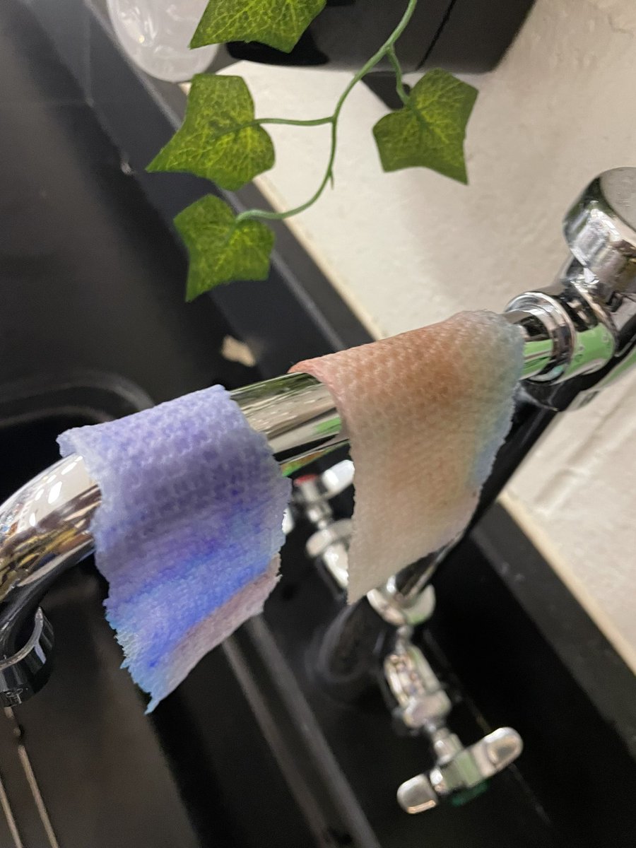 MsWestEDU's tweet photo. 5th period chromatography results #RCMMS #Science #6thGrade #TeamOtters https://t.co/HhWuCtuEr5
