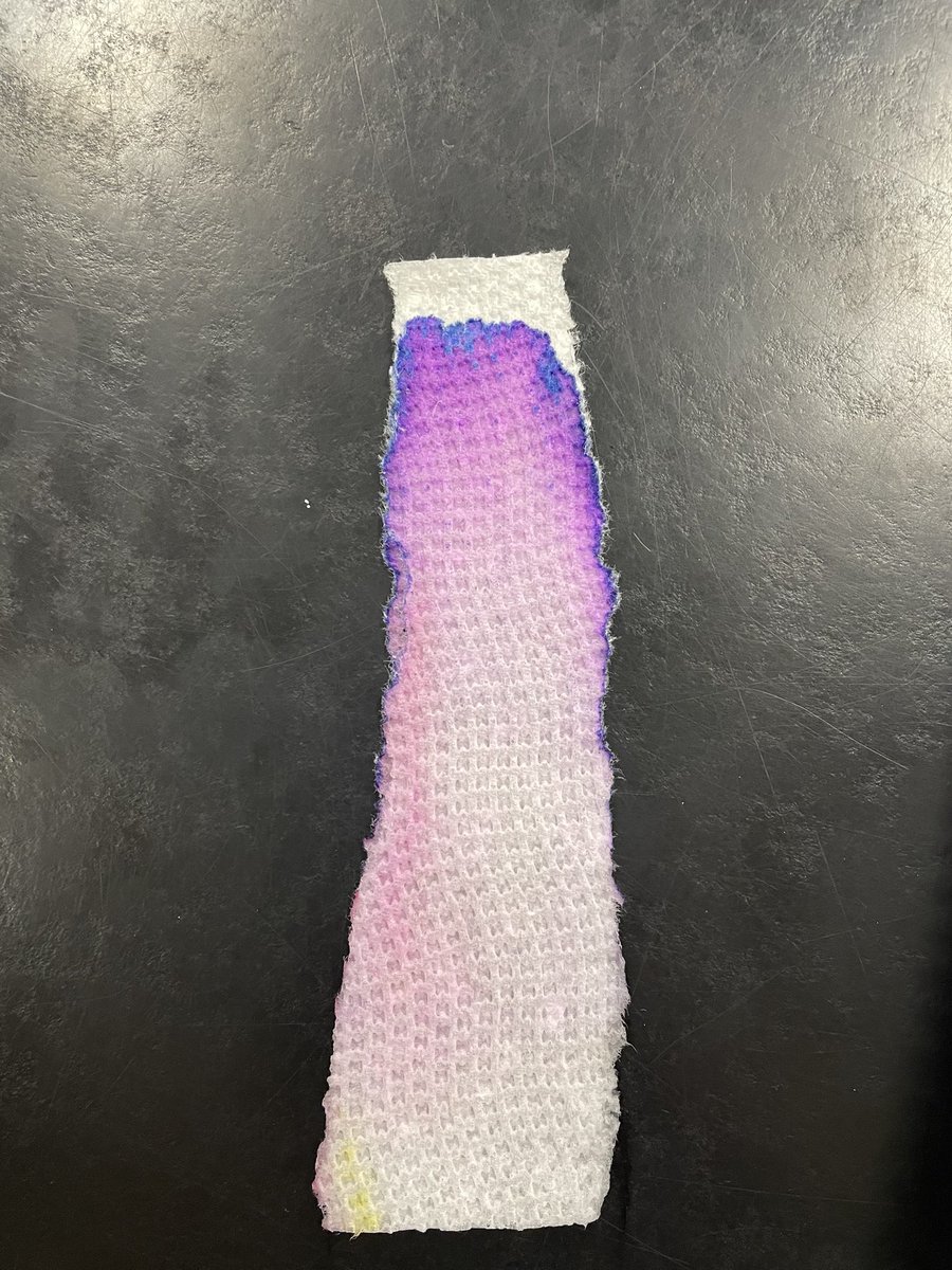 MsWestEDU's tweet photo. 5th period chromatography results #RCMMS #Science #6thGrade #TeamOtters https://t.co/HhWuCtuEr5