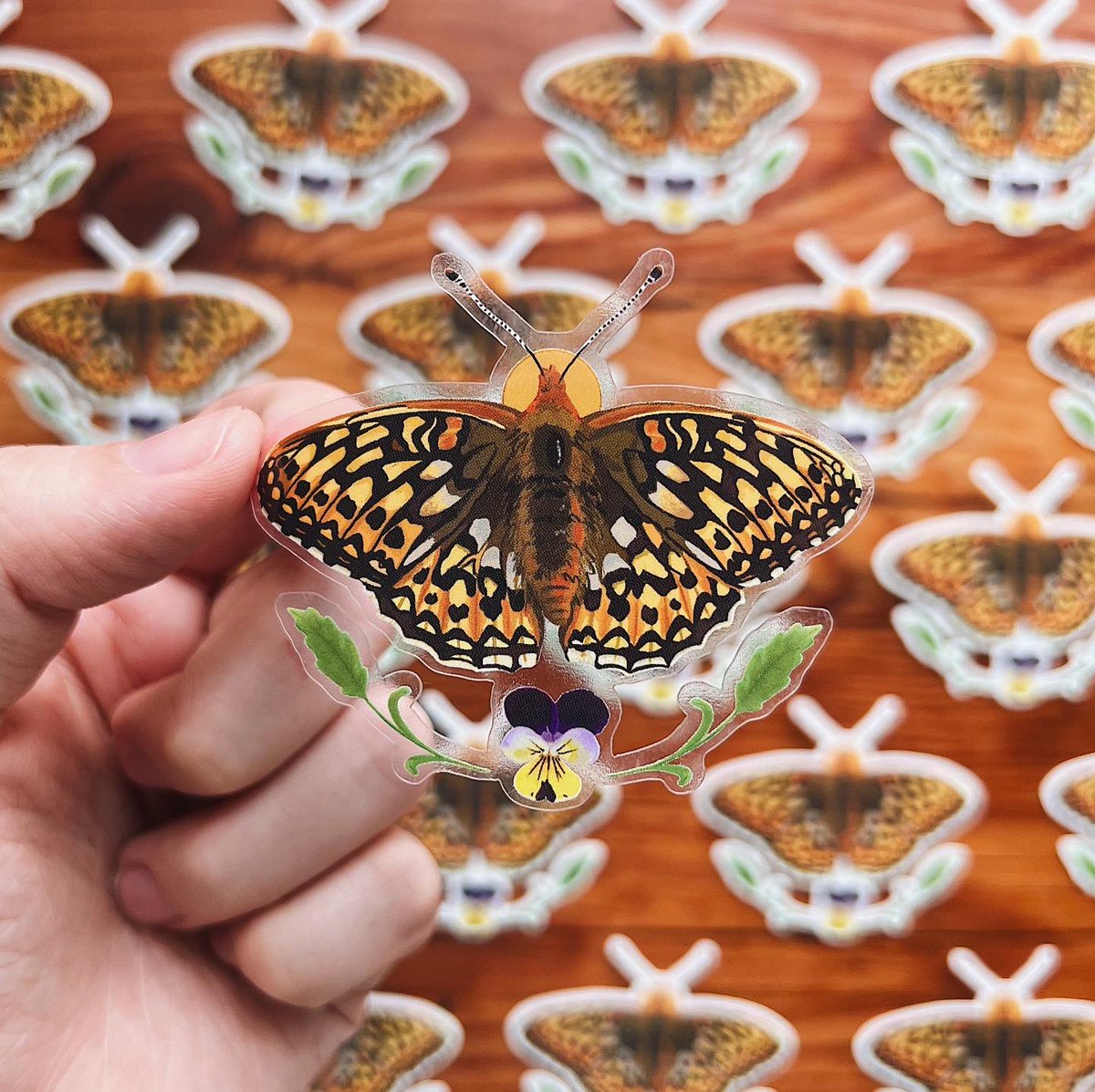 JulieK_Art's tweet photo. Introducing the fourth transparent sticker in my butterfly and host plant series! The Callippe Silverspot Butterfly with “Johnny Jump Up” aka Wild Pansy! Available this Friday! 🦋

https://t.co/Z8yorlTodf https://t.co/Cb3hml2LzU