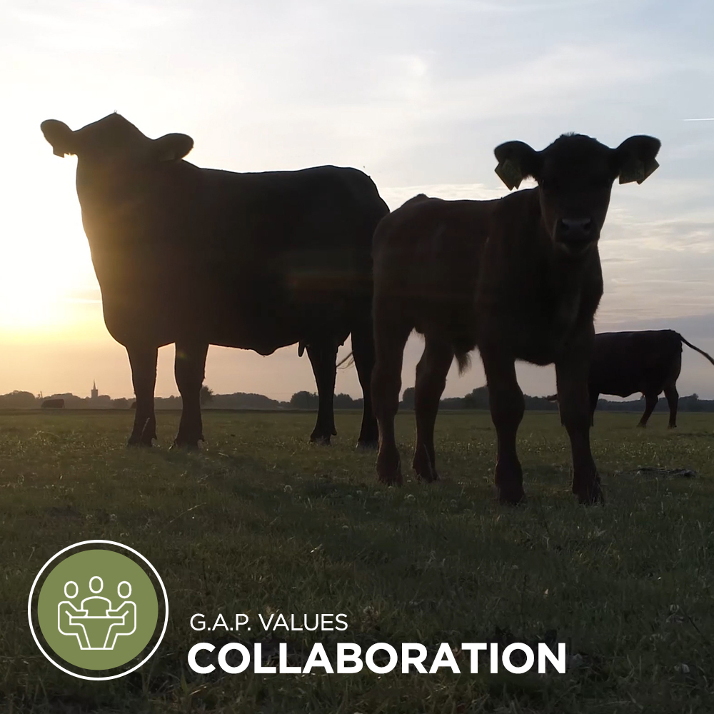 CertifiedGAP's tweet photo. At G.A.P., we believe it takes a village to make change. That's why we work with a variety of partners, including farmers, brands, manufacturers, distributors, certifiers, retailers, and more. Learn more about our values in our Annual Report: https://t.co/Qjir76OkMP. #MakeitGAP https://t.co/3u96wARGAQ