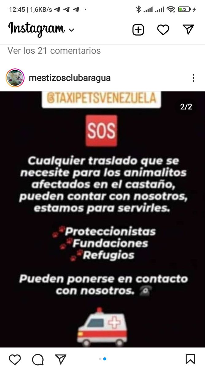 margararamos's tweet photo. Por favor difundir y así ayudar a las mascotas de El Castaño/ Maracay 💔 #todosayudemos#elcastano#maracay#tejerias#aragua#rescateanimal#empatia https://t.co/2y7x4TurS9