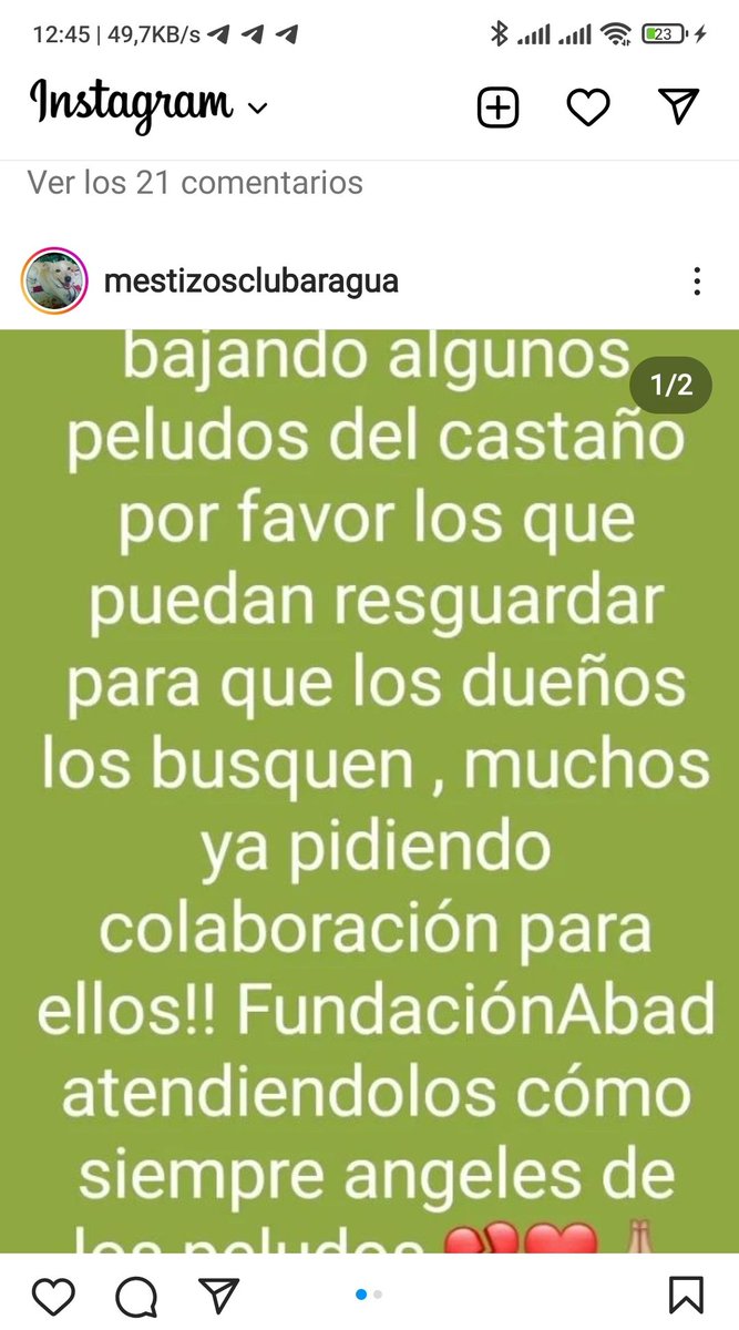 margararamos's tweet photo. Por favor difundir y así ayudar a las mascotas de El Castaño/ Maracay 💔 #todosayudemos#elcastano#maracay#tejerias#aragua#rescateanimal#empatia https://t.co/2y7x4TurS9