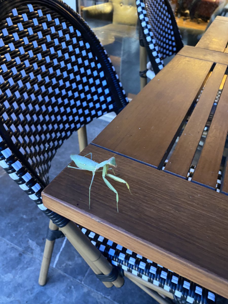 Kafede gördüğüm tipe bak muazzam