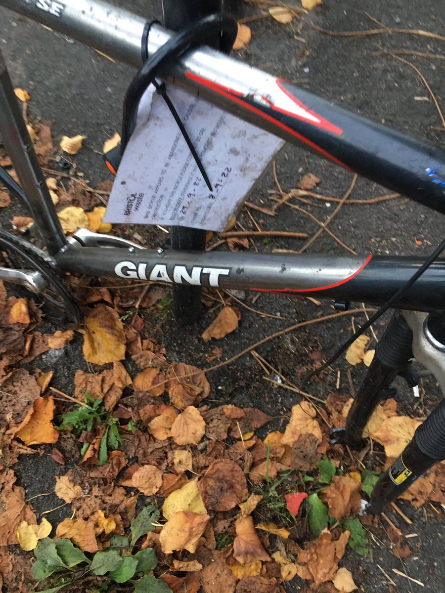 deborahrdoyle's tweet photo. Hi @BristolWaste These broken bikes on the corner of Glouc Rd &amp; Elton Rd, should been collected on 29th Sept… any update as to why they haven’t been collected. This area is already a nightmare for litter dumping so it would be helpful if they could be cleared soon. https://t.co/lNmbOxfPX7