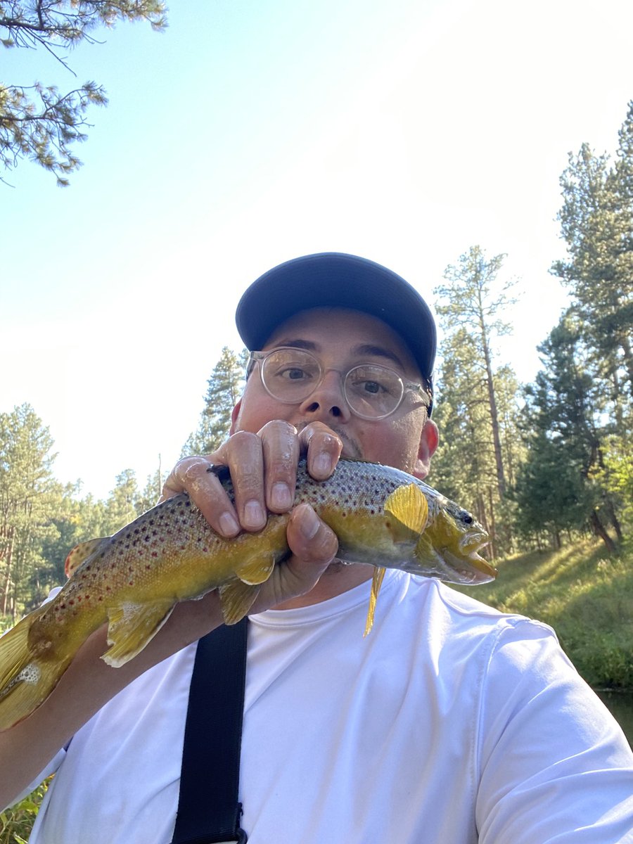 Reason #101 that the Black Hills are one of the best places to live in USA