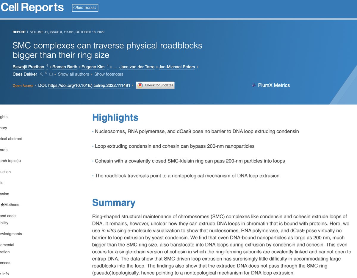 Today, at last, we published a paper where we resolve this question on how SMCs deal with obstacles bound to DNA – yielding lots of surprises! cell.com/cell-reports/f…

Superb experiments by postdoc @BisLightyear of our #CDlab, in collaboration with Jan-Michael Peters et al. 

1/7