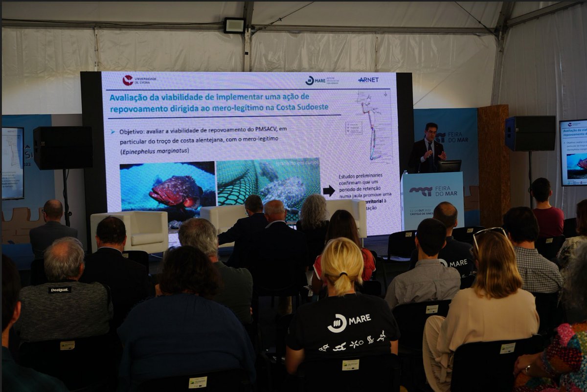Eper7's tweet photo. @PMRAlmeida at #FeiradoMar, highlighted @MARE_centre &amp; @univdeevora' central role in scientific reserch,technological developement and innovation focusing the aquatic environment.#DiadEs,@LifeAgueda, #salmonlink,#coastnet,#ATLAZUL,#projectoCRER&amp; many more projects were present! https://t.co/ljYXbfkRZf