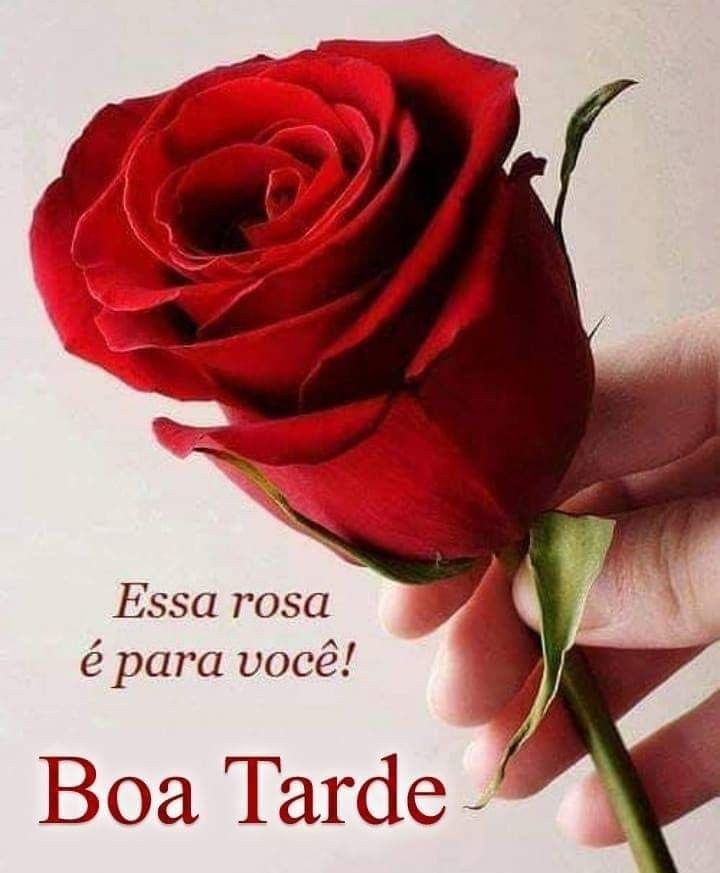 Glria97672669's tweet photo. @HSHelena Eita saudades https://t.co/nT2SXX5Ngp