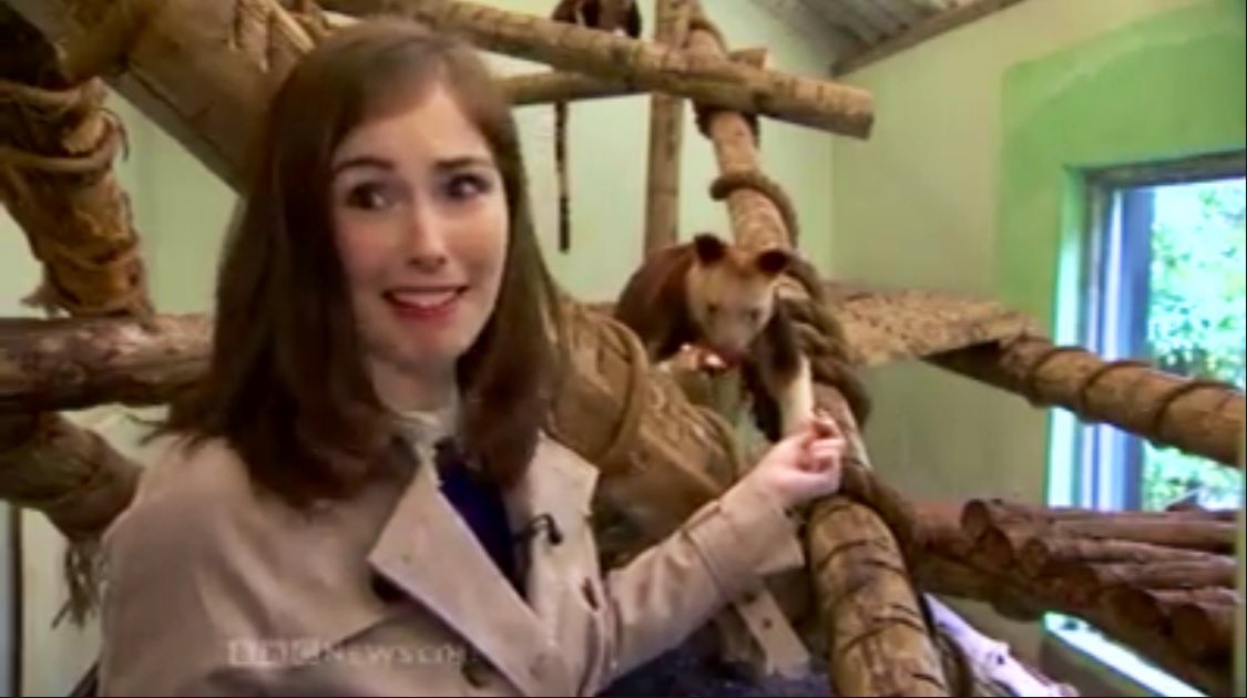 ClodaghLRice's tweet photo. 100 seconds of news going wrong to mark 100 years of the BBC - I’ll add the time I tried to feed a tree kangaroo during a PTC back in 2014 #neverworkwithanimals #bloopers #BBCat100 https://t.co/wt3bog06Mr