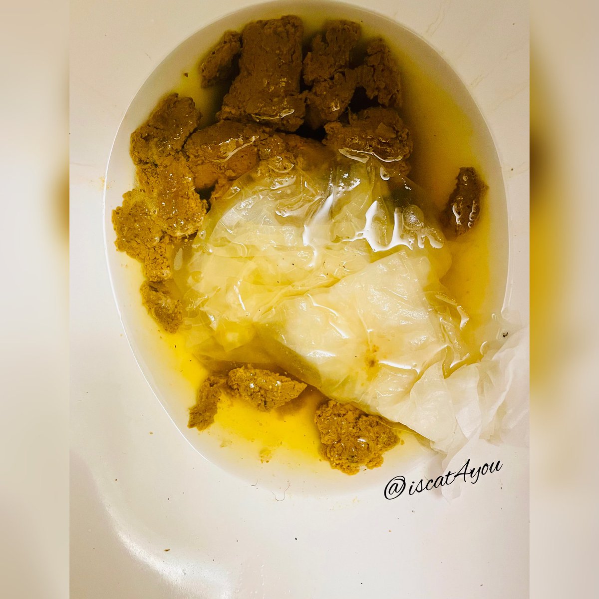 iscat4you's tweet photo. Morning shit don’t you wish this was all on your face and in your mouth 🐷💩#scat #shit #morningshit https://t.co/M17flQai6s