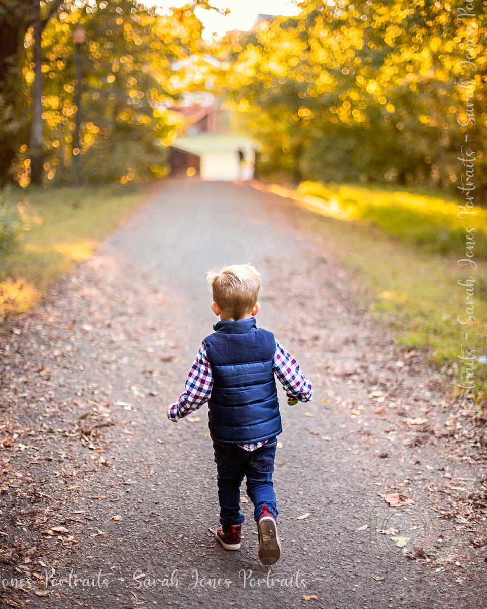 SarahJPortraits's tweet photo. Run awayyyyyyyyy
.
.
.
#sarahjonesportraits #springhilltn #springhilltnphotographer #springhilltnphotography #familyphotographer #fallfamilyphotos https://t.co/PEQbJmFGSn