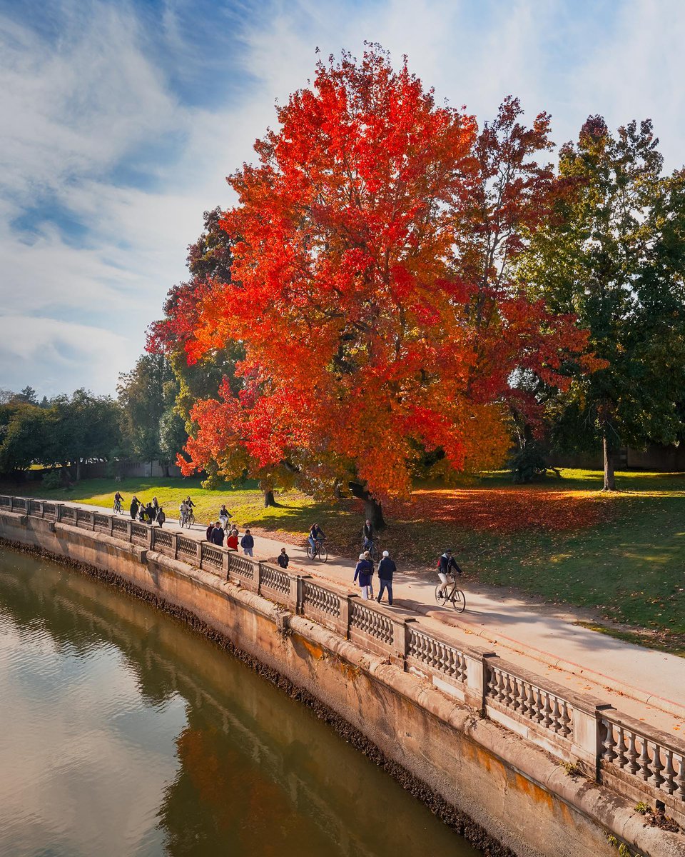 Vancouver is renowned for its stunning natural setting so when the leaves start to turn, there's no better place to experience nature's seasonal transition than right here. 
​​​​​​​​
📷 @enchantedvancouver 
Tag us at #VeryVancouver to be featured. 💛