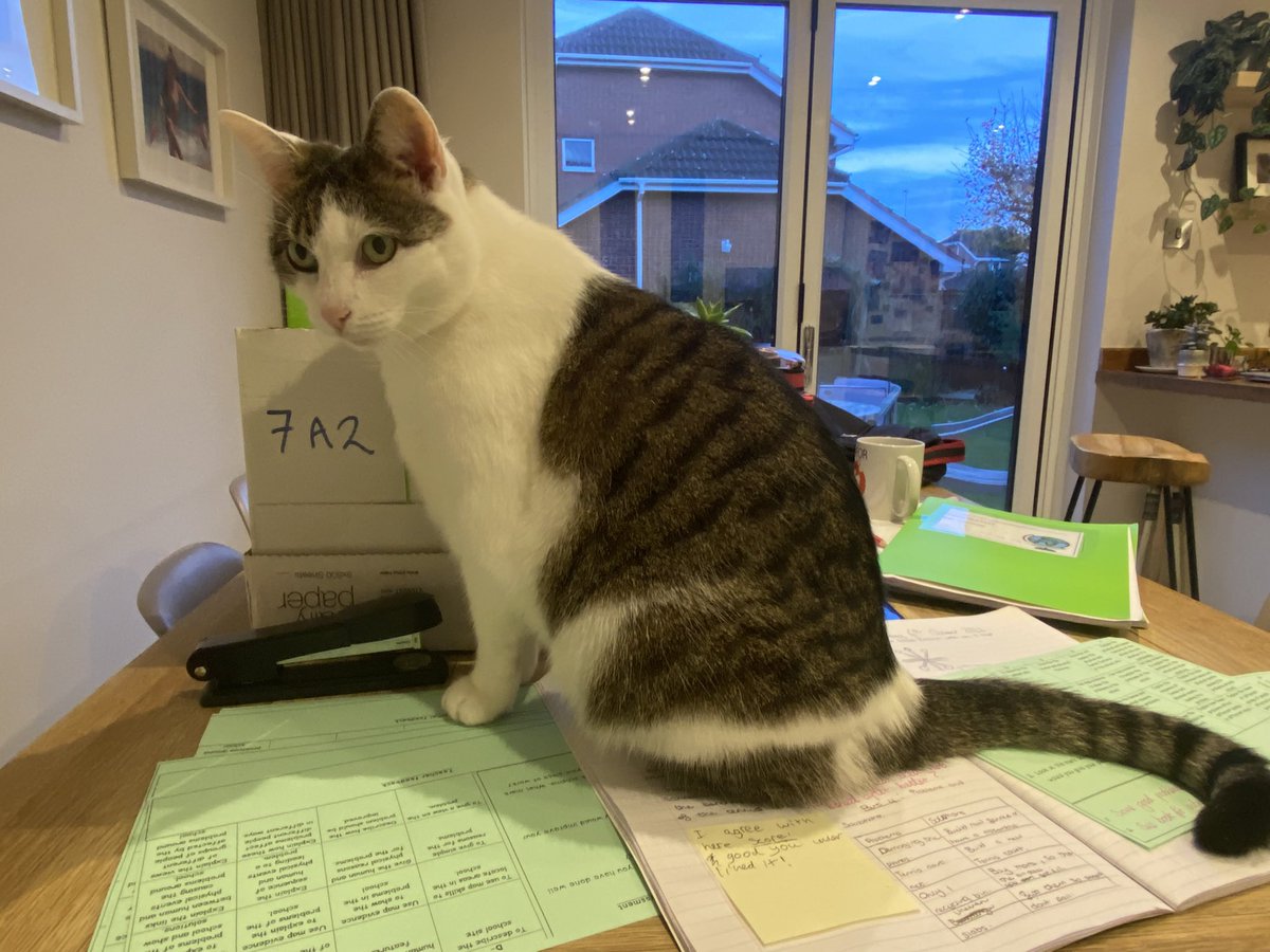 SarahGeography's tweet image. Anyone else have this problem when marking at home???