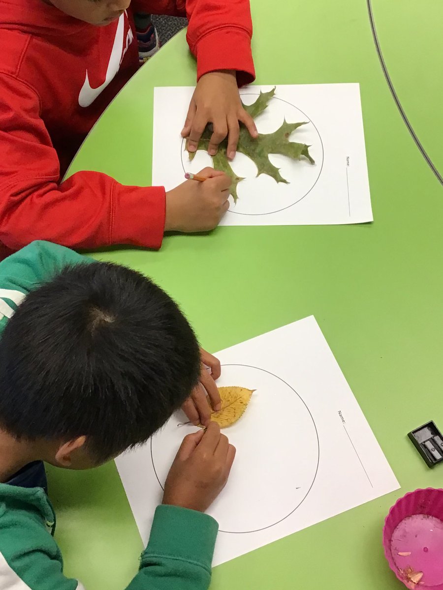 Endless inspiration inside and outside on these warm Autumn days. #sd36learn <a href="/bridgeV33/">Bridgeview</a>