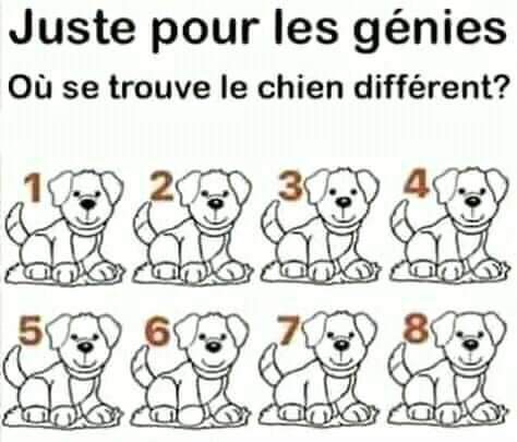ng7ahmada's tweet photo. Où sont les génies ?🥳

Cette question est loin d'être facile et pas trop difficile ça demande juste une certaine logique d'analyse.🤔
Quoté la réponse sous ce tweet avec un chiffre parmi les chiffres de 1 à 8, avec justifications si possible.

Merci de bien vouloir essayer🤞🫶 https://t.co/3VphRqPkJP