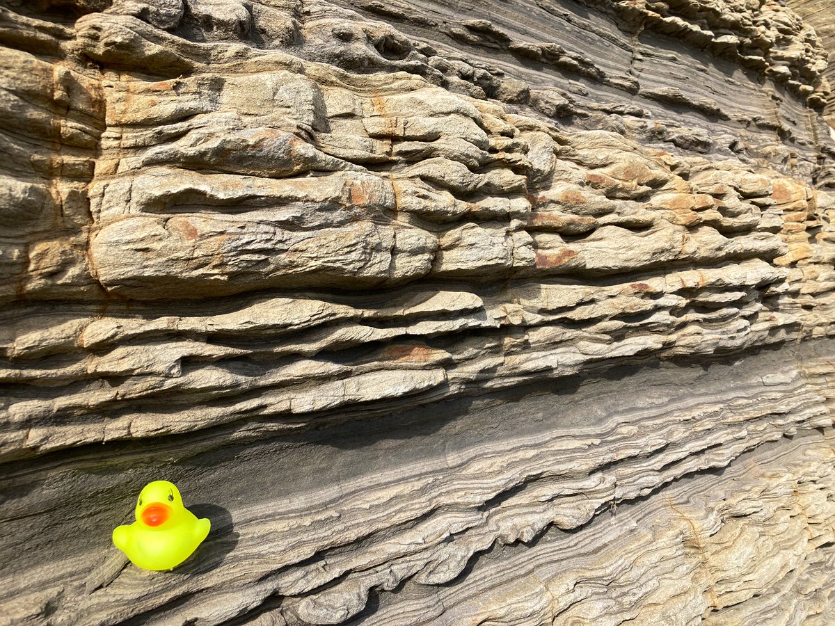 Brennan O’Connell tweet media