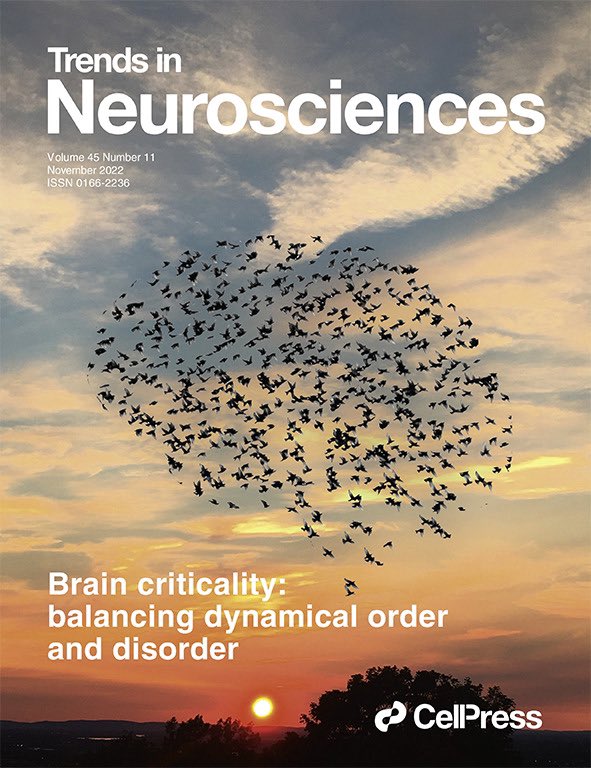 Karim Jerbi (@karimjerbineuro) on Twitter photo 🎉 Our review on Brain Criticality just made the cover of Today’s issue of TINS ✨🧠
<a href="/TrendsNeuro/">Trends in Neurosciences</a>
Curious about the story behind this image? 🧵1/6 🎉 Our review on Brain Criticality just made the cover of Today’s issue of TINS ✨🧠
<a href="/TrendsNeuro/">Trends in Neurosciences</a>
Curious about the story behind this image? 🧵1/6