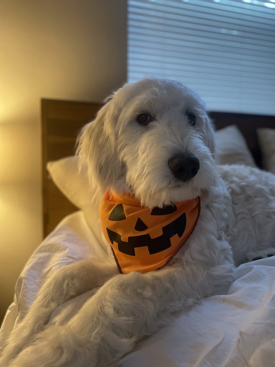 Spooky side eye queen ✨✨