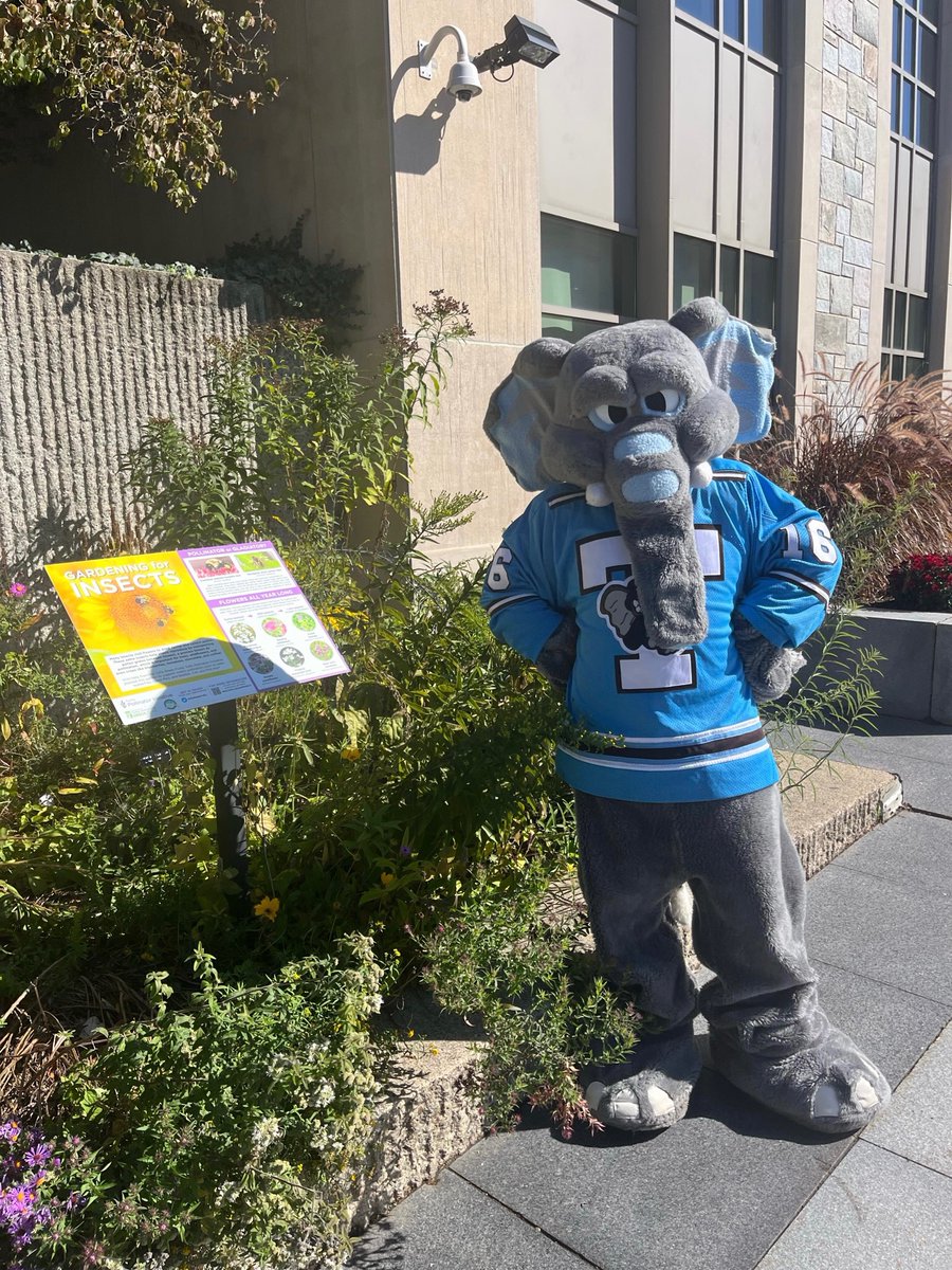 Warning: your pollinator garden may attract elephants! 🐘💙