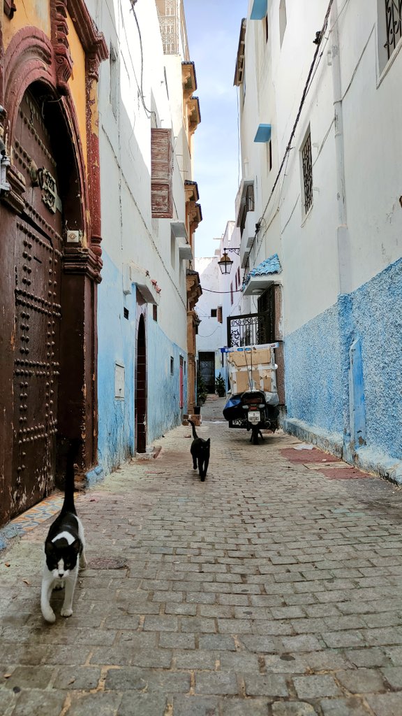 Iván (@ivanmalmesat) on Twitter photo 