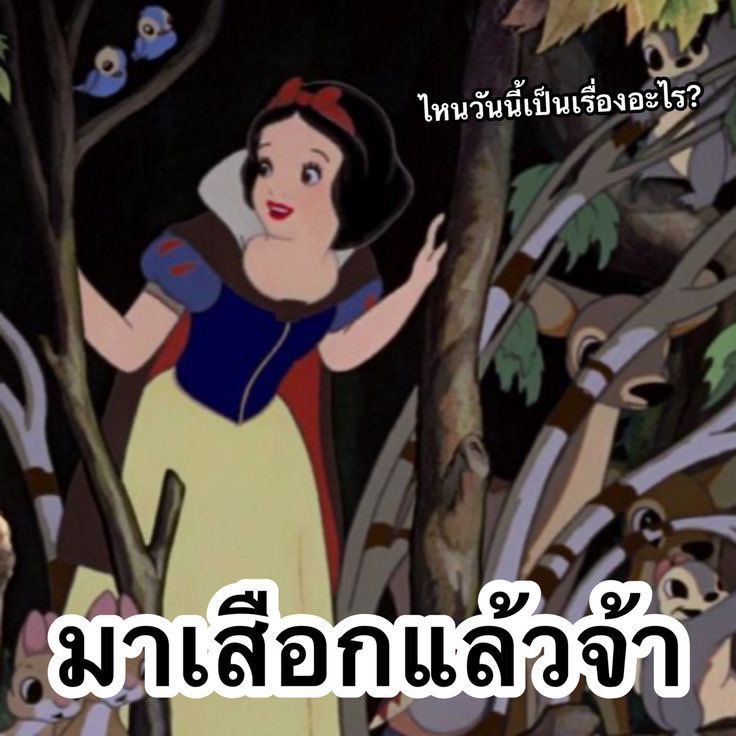 Nene_kaaaa's tweet photo. กู : 
#เกรซซี่ https://t.co/T8fYUTC51z