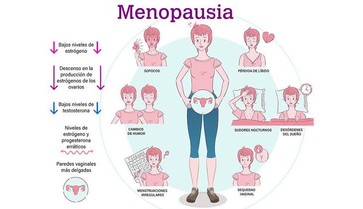 Como saber si tienes la menopausia