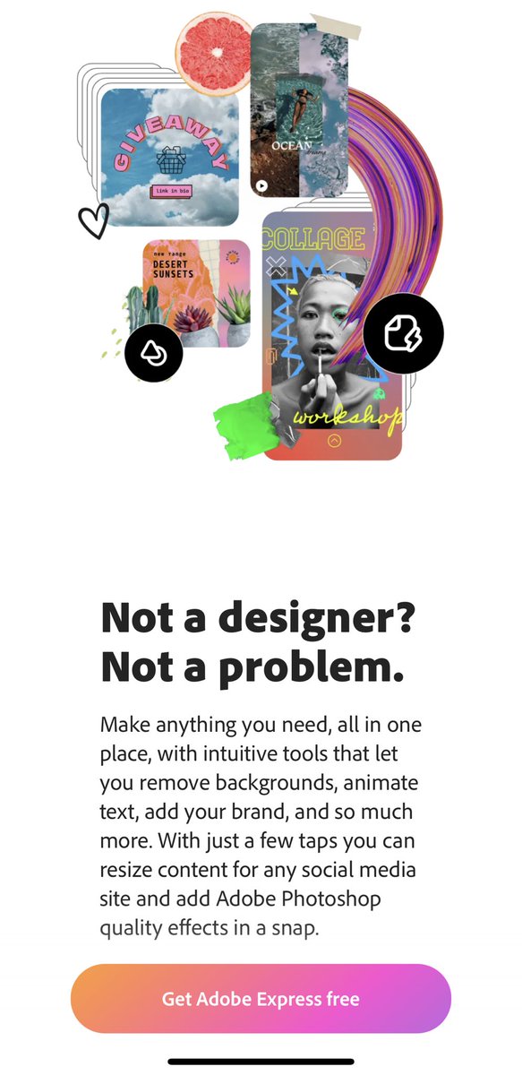 Ann Lewnes tweet media