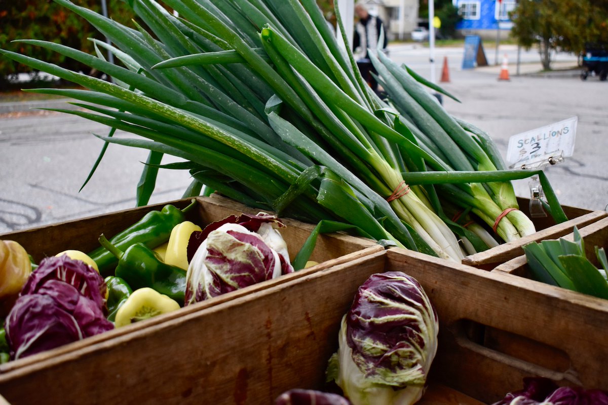 Belmont Farmers Mkt tweet media