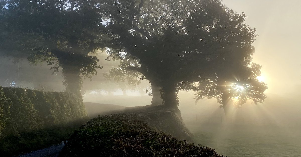 Atmospheric walk with the dog this morning @MetMattTaylor @DerekTheWeather @StormHour