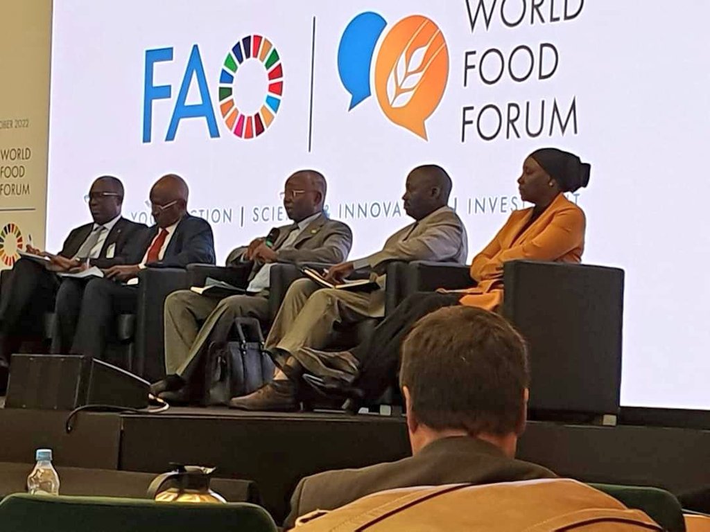 MagNiger's tweet photo. Le  Ministre de l´Agriculture présente le programme d'investissement du #Niger de l'initiative Main Dans la Main du Directeur Général de la #FAO, cet après midi du 18 octobre 2022, à #Rome. Ces investissements concernent l'#oignon de conservation, le #lait et le #moringa. https://t.co/6gDGfzRjEn